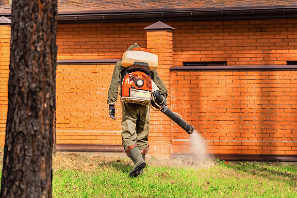 Bed Bug Clearance Verification and Documentation in Elmont